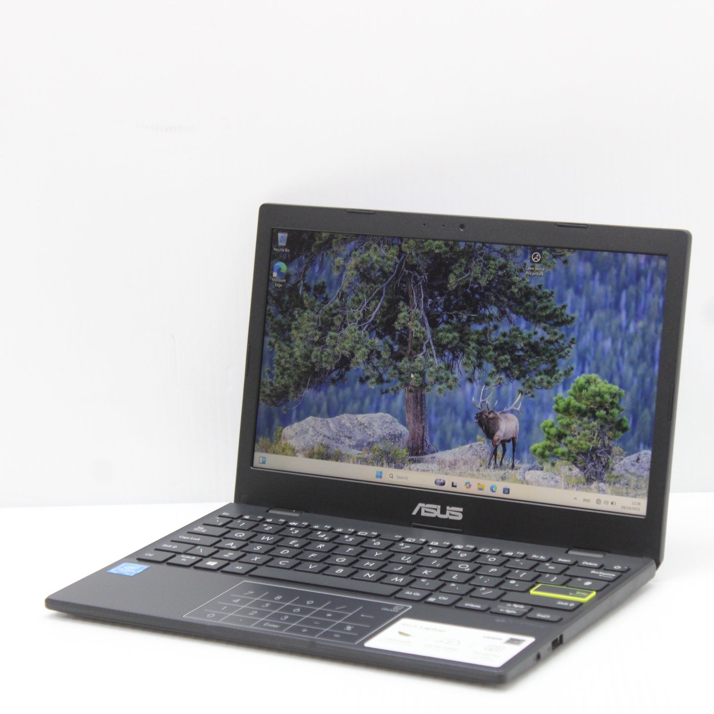 a4a197d4227f35daa201a60543011104