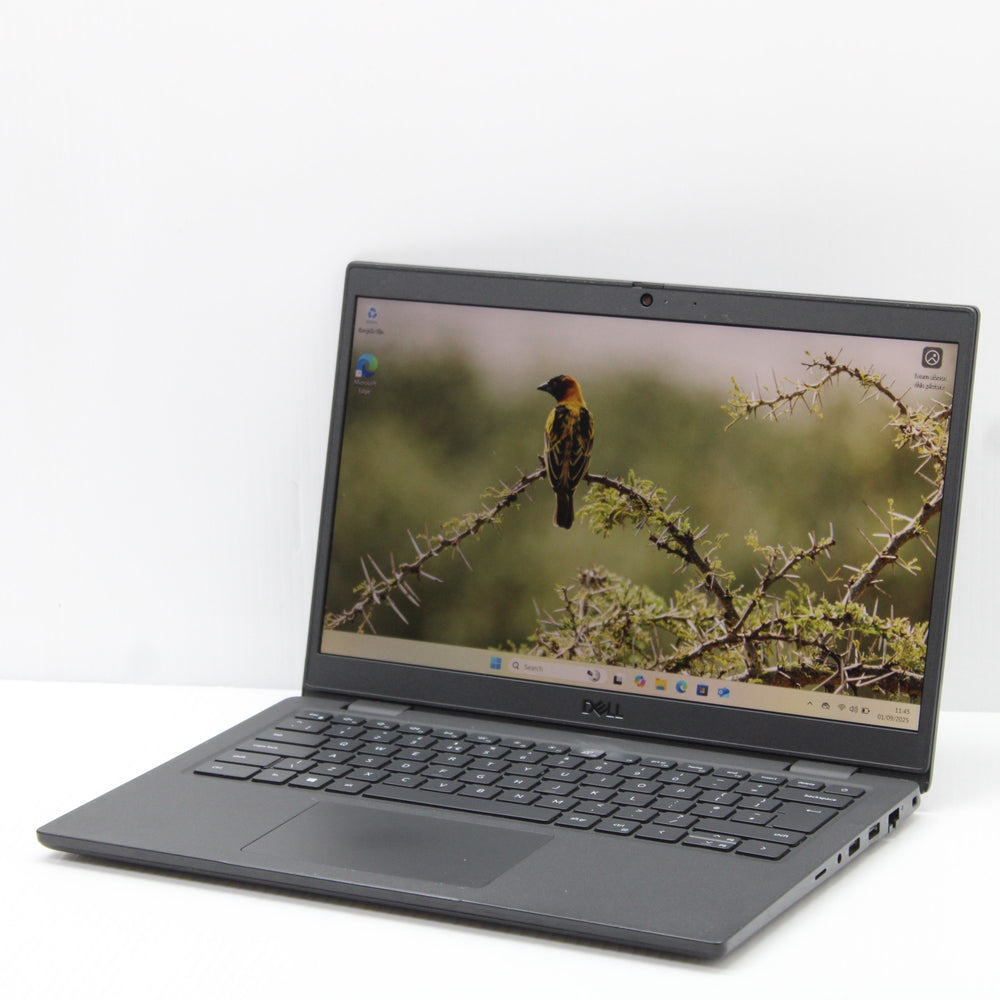 42d7a3e3c975f46423b78bbe70374129