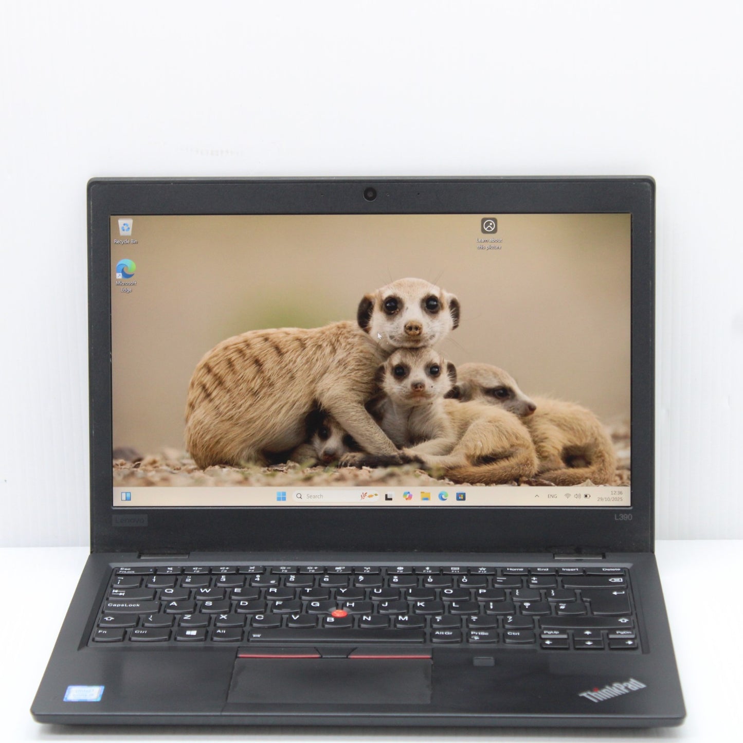 de077a17f90fc71cbac6dd08098b53a6