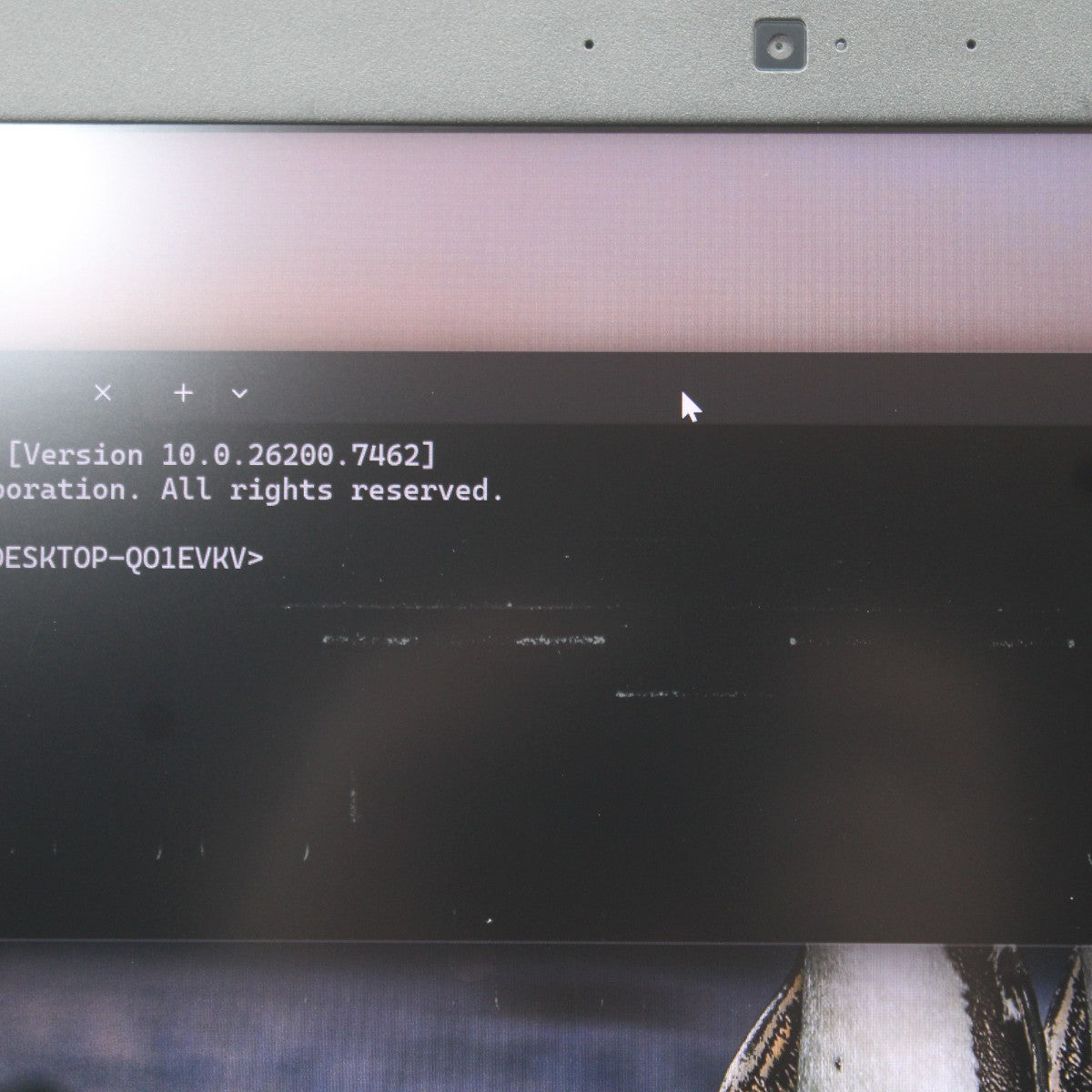 1aeda90031452e9b792ee71d508103e5