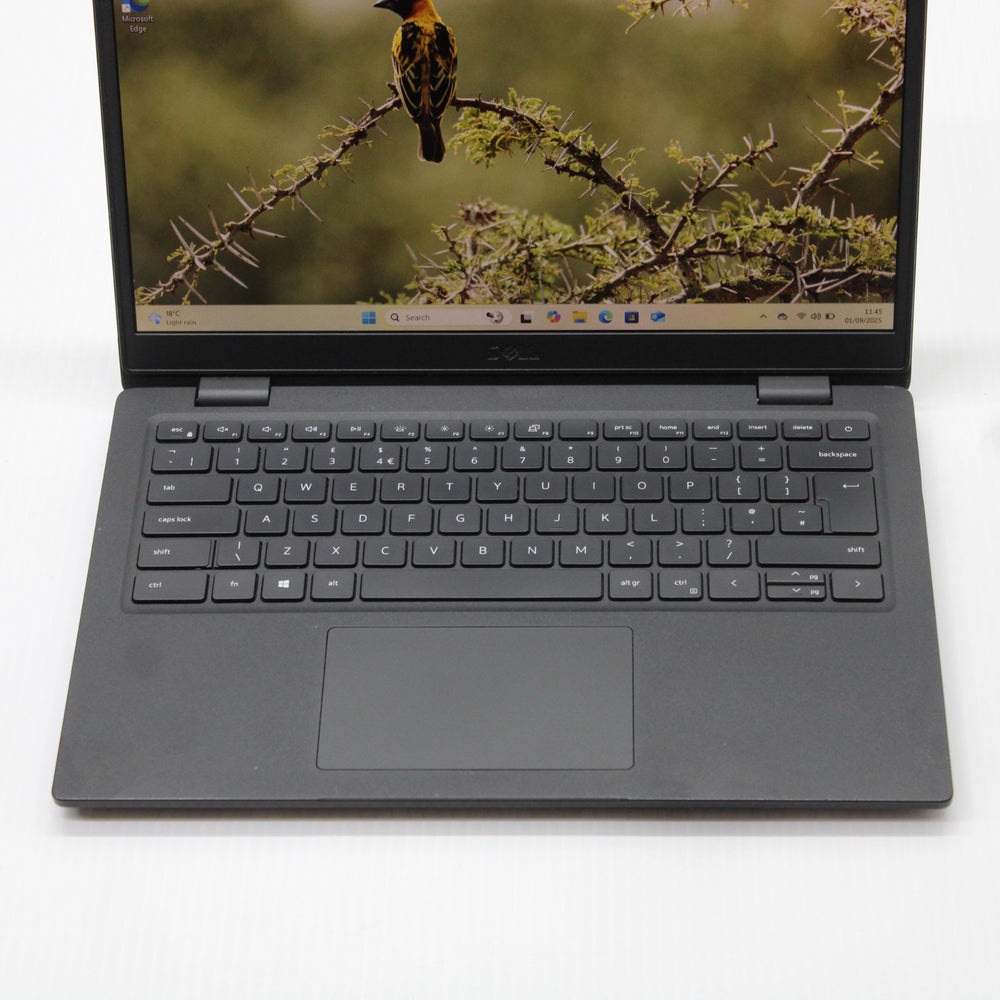 b6035e678296c353f1bc2678b0ea3682