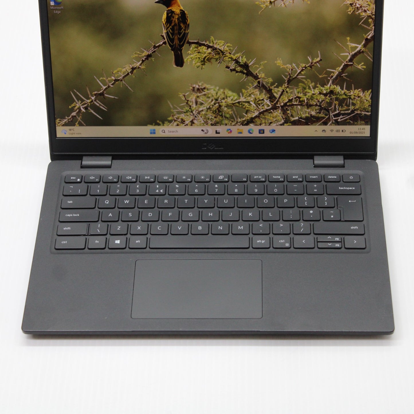 b6035e678296c353f1bc2678b0ea3682