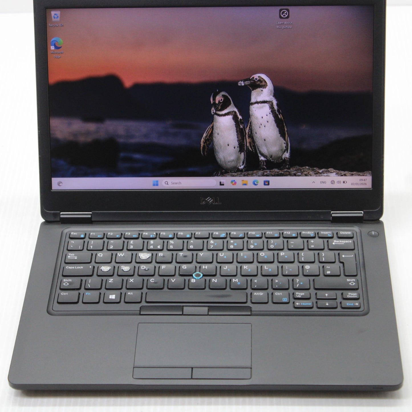 fe0e156290c8b1d648a5e0a3f9efb0db