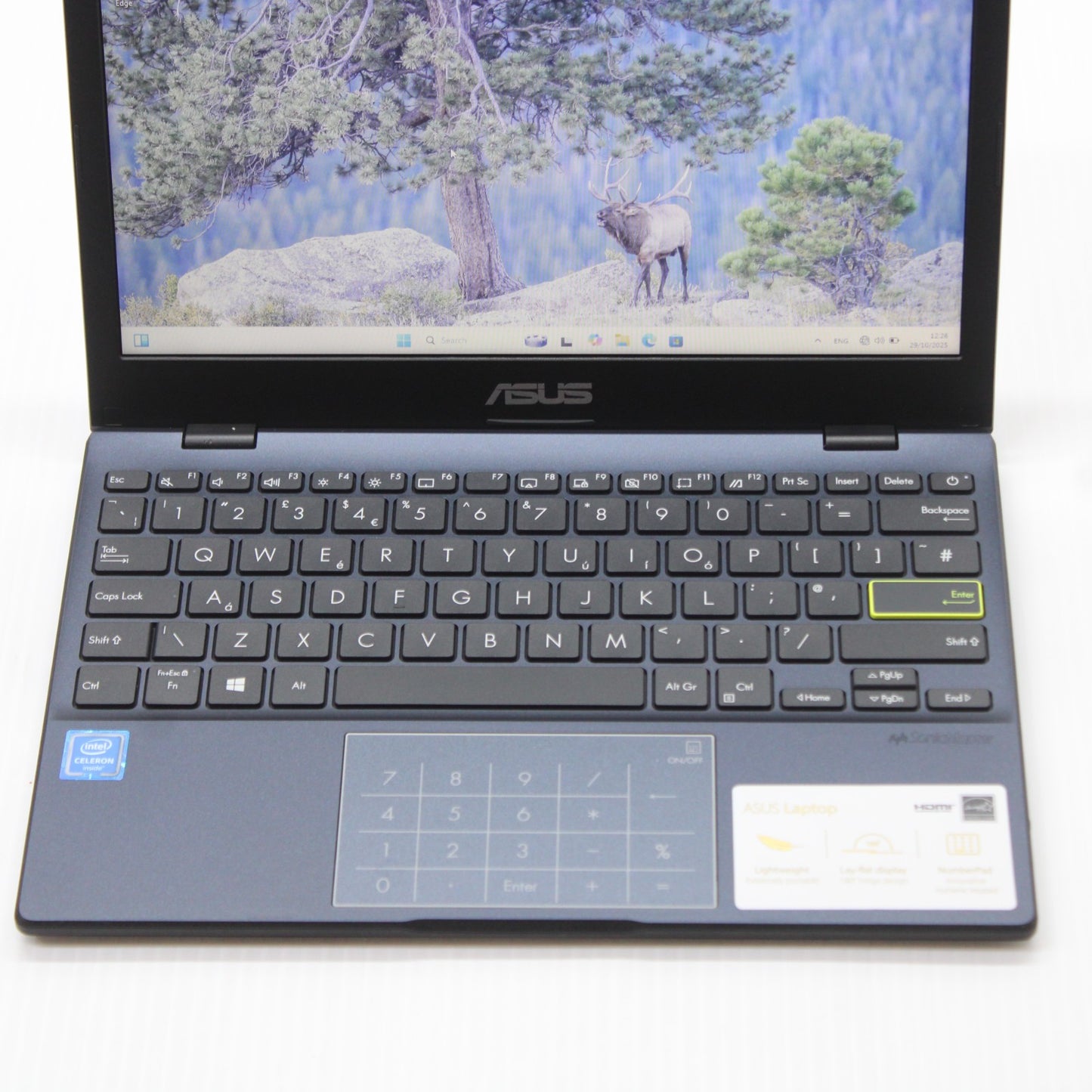 2ed7003fe7505711a7582734626cc0d1