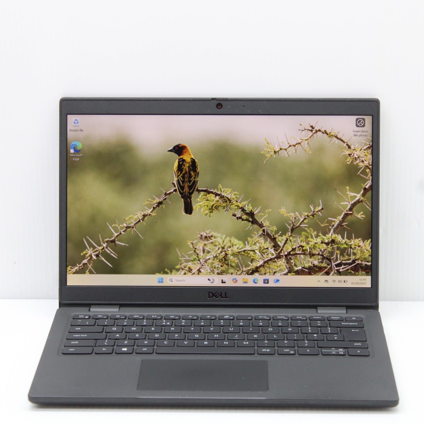 65551ac73742acf8bfe8c42cc7014248