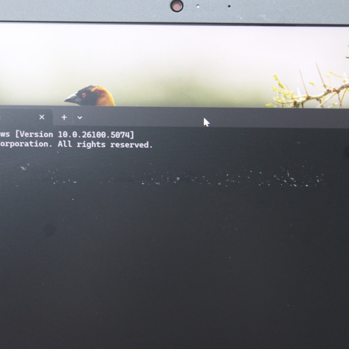 264bb8a228f5714fcdd8b7750df5e39d