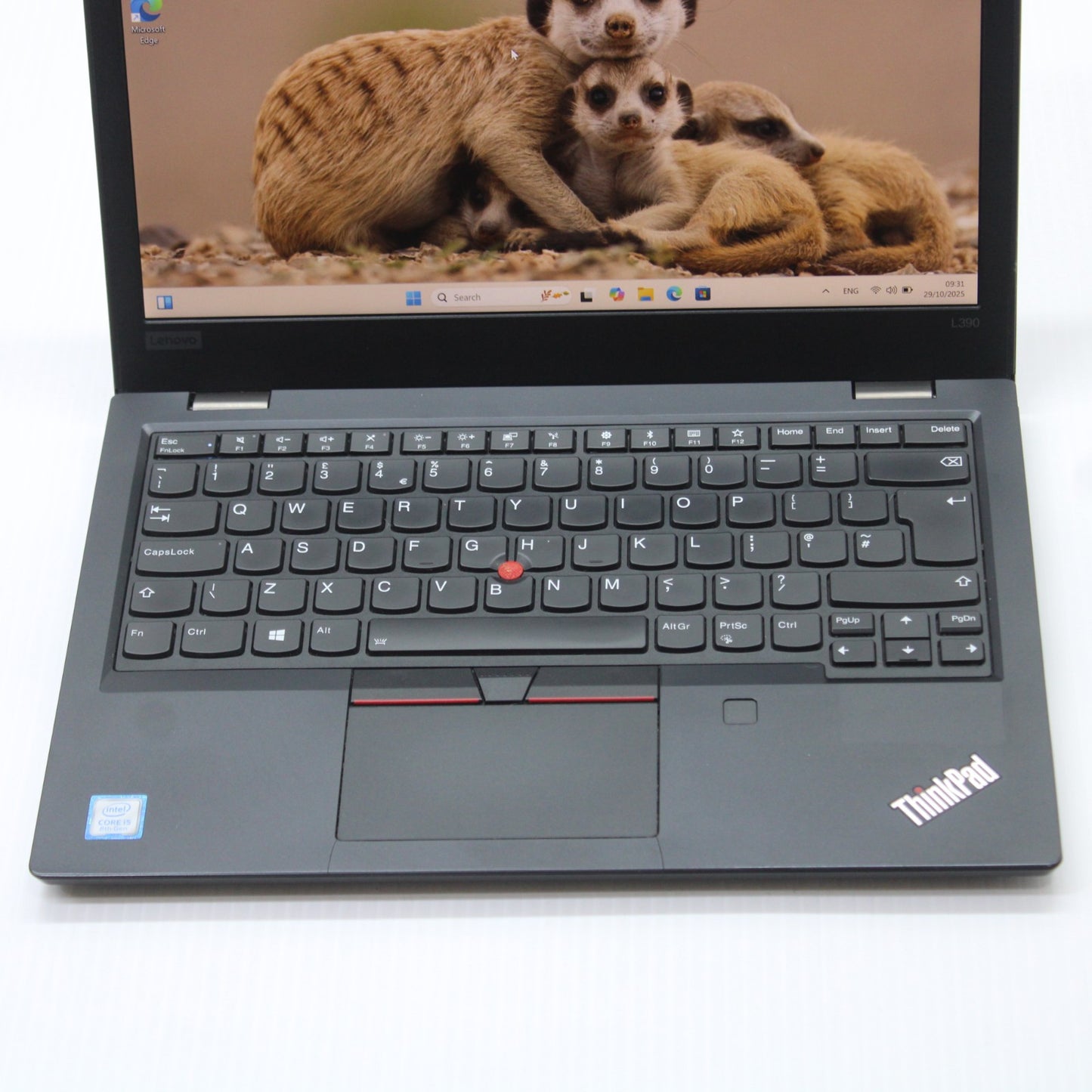 5786226e5b698569711722786a5b9358